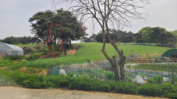 태안군 태안읍 장산리 전 경매 물건 사진