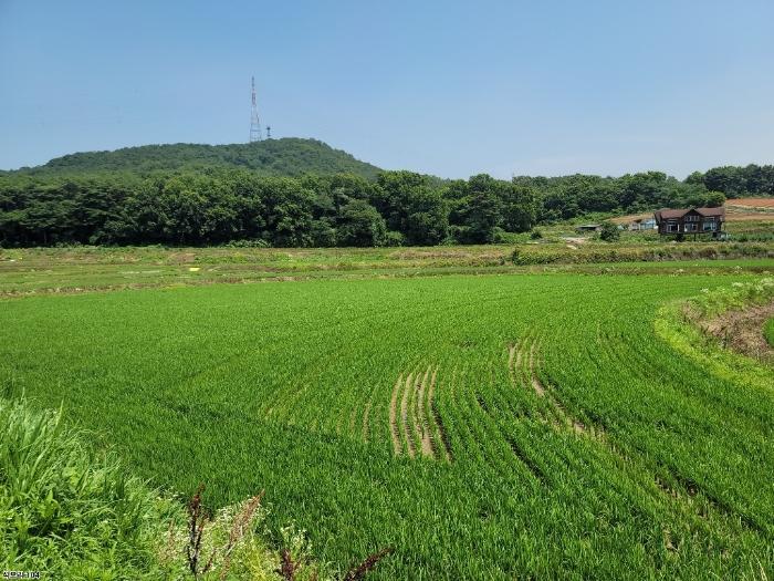 당진시 송악읍 석포리 대지 경매 물건 사진