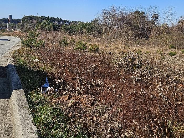 태안군 남면 원청리 토지 기타 경매 물건 사진