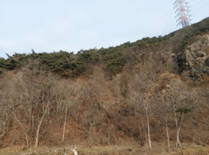 당진시 구룡동 산191-3 임야 경매 물건 사진