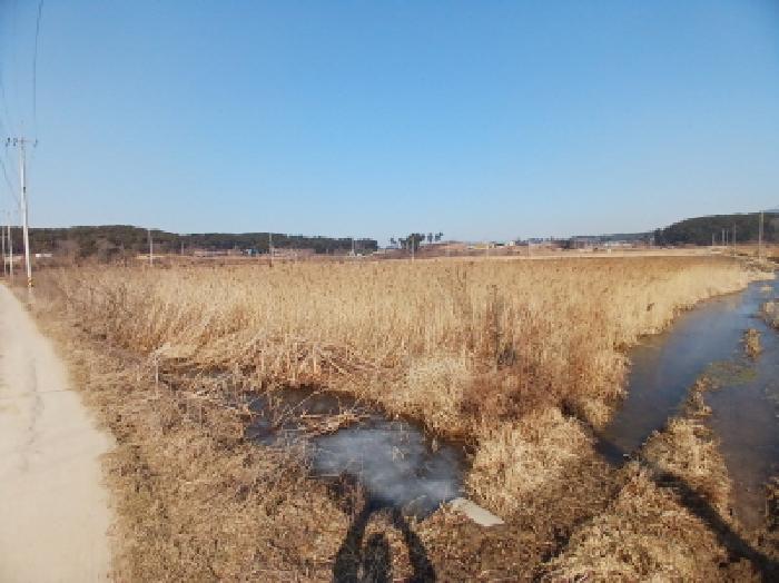서산시 지곡면 환성리 답 경매 물건 사진