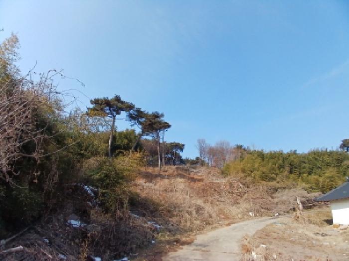 당진시 석문면 장고항리 전 경매 물건 사진