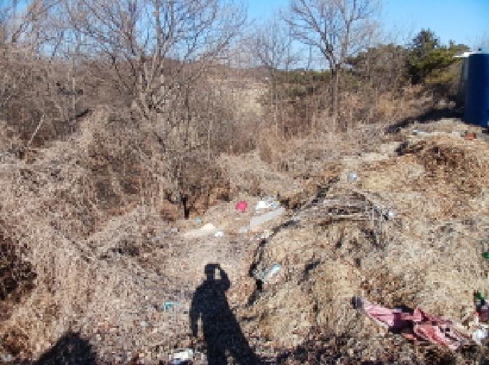당진시 석문면 삼봉리 임야 경매 물건 사진