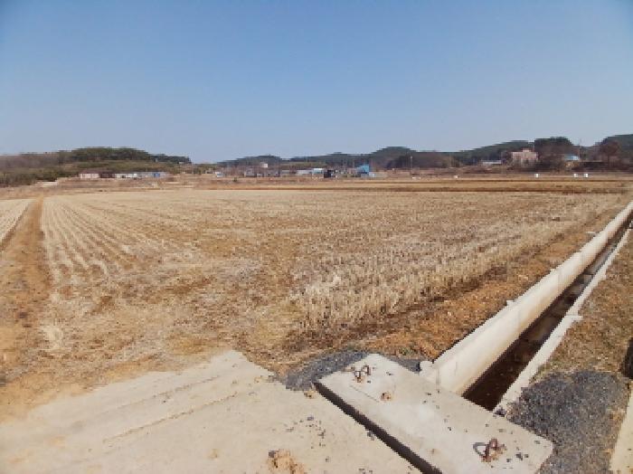 당진시 석문면 삼봉리 답 경매 물건 사진