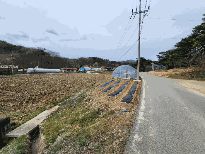 서산시 운산면 와우리 전 경매 물건 사진