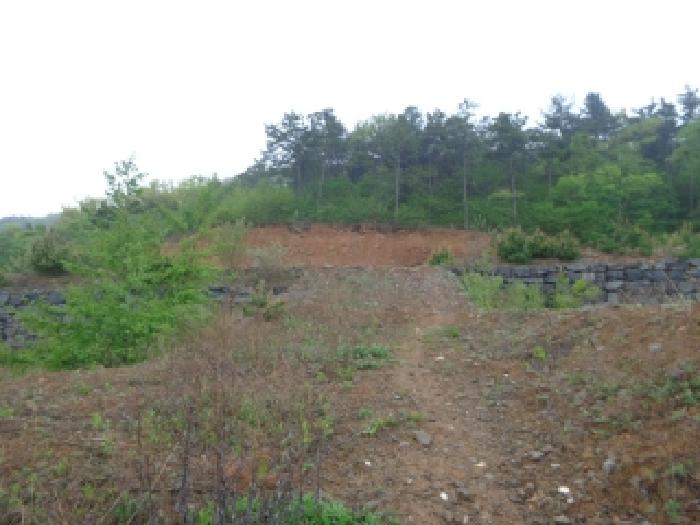 서산시 인지면 산동리 도로 경매 물건 사진