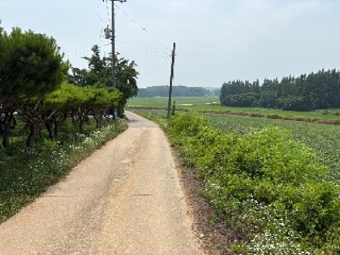 당진시 송악읍 중흥리 전답 경매 물건 사진