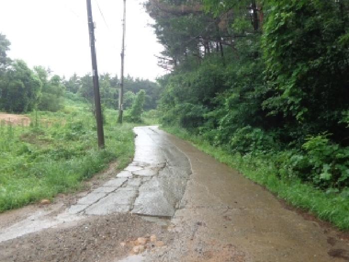 태안군 태안읍 삭선리 임야 경매 물건 사진
