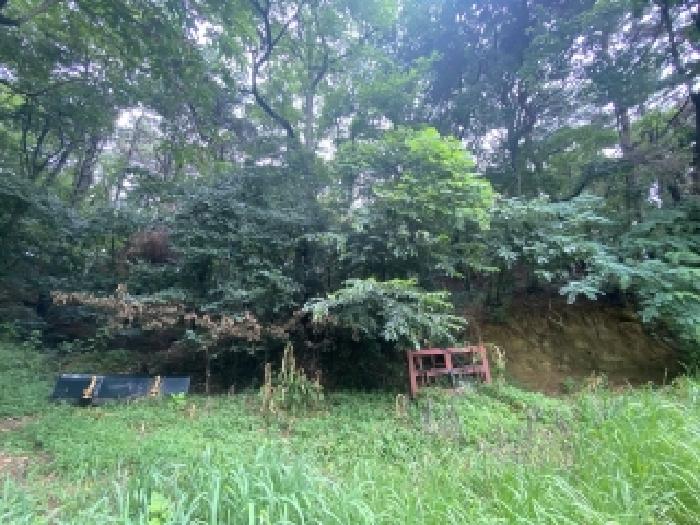 당진시 대덕동 1061-8 임야 경매 물건 사진