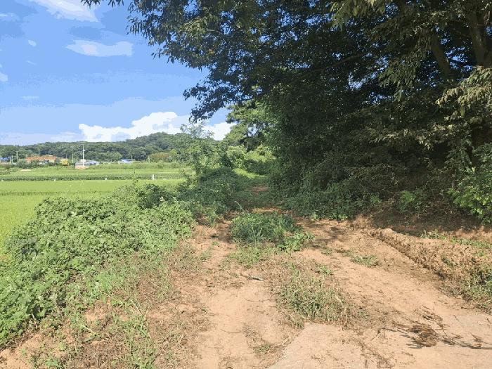 당진시 순성면 나산리 전 경매 물건 사진