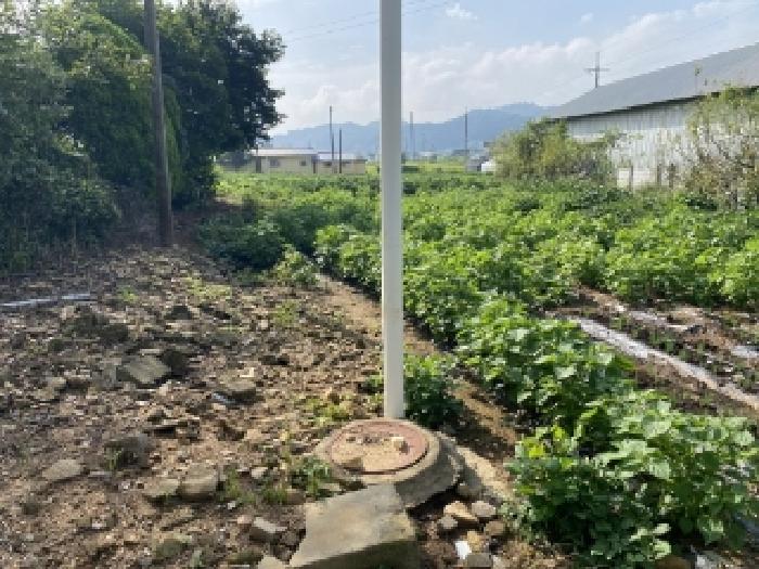 당진시 면천면 성상리 전답 경매 물건 사진