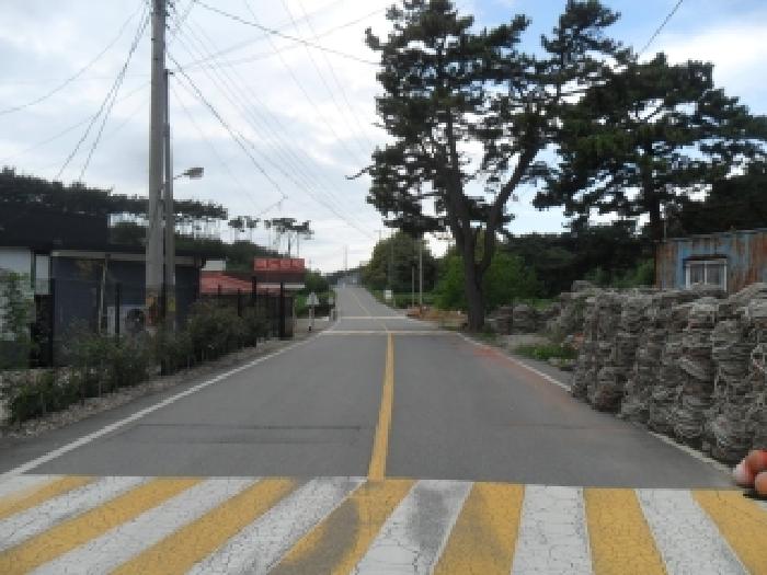 태안군 근흥면 신진도리 대지 경매 물건 사진