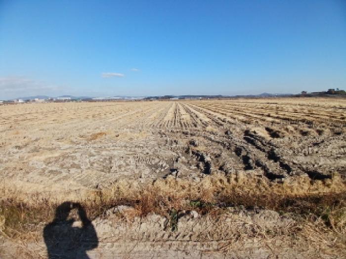 서산시 해미면 언암리 전답 경매 물건 사진