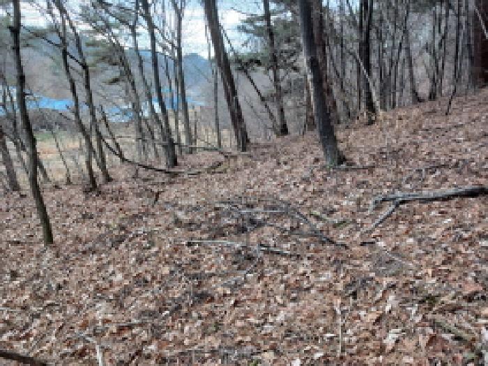 서산시 성연면 명천리 임야 경매 물건 사진