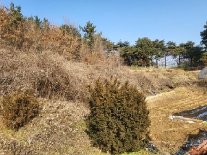 당진시 면천면 성하리 대지,임야,전답 경매 물건 사진