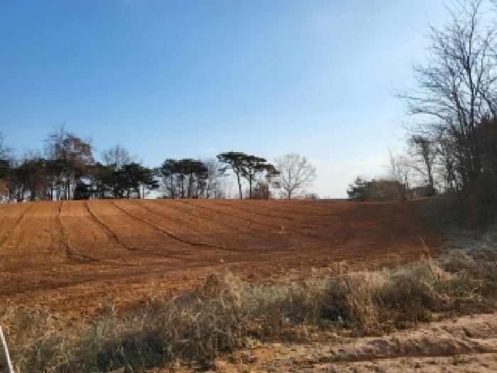 당진시 신평면 부수리 임야 경매 물건 사진