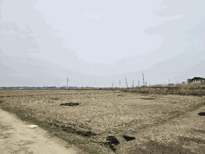 당진시 신평면 매산리 답 경매 물건 사진