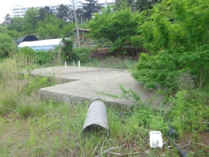 태안군 태안읍 동문리 전 경매 물건 사진