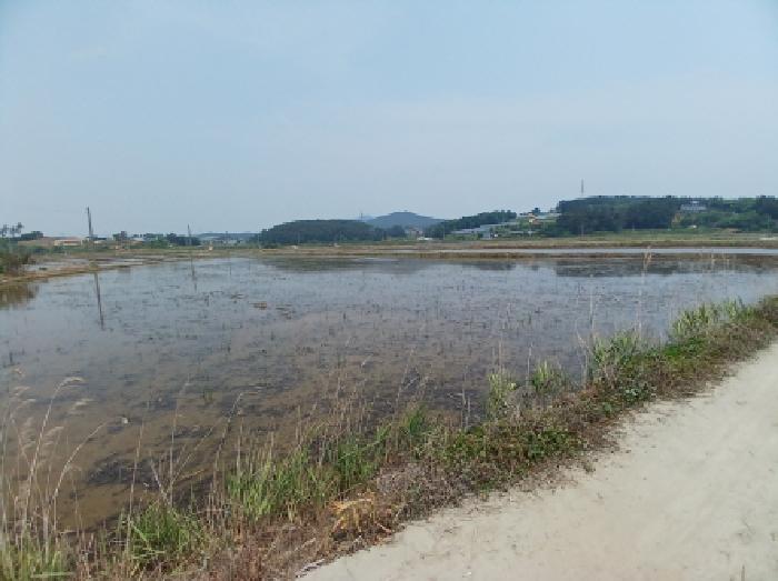 서산시 지곡면 환성리 답 경매 물건 사진