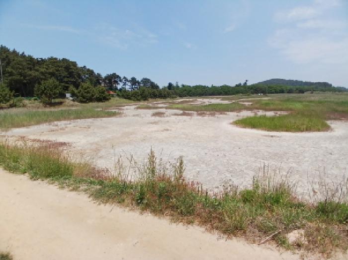 서산시 대산읍 오지리 염전 경매 물건 사진