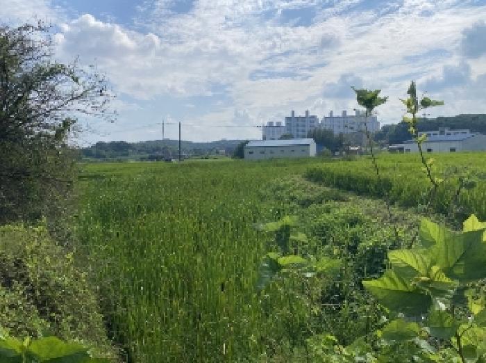 당진시 송악읍 중흥리 전답 경매 물건 사진