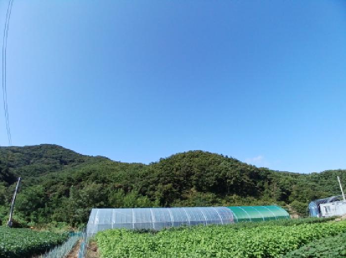 서산시 운산면 고풍리 임야 경매 물건 사진