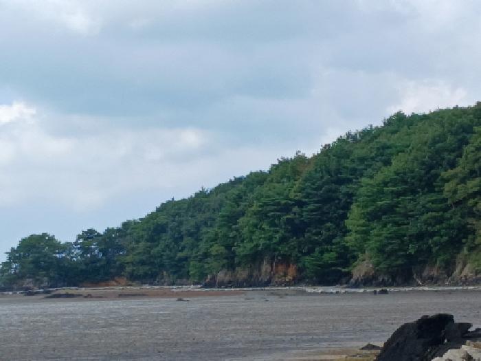 서산시 지곡면 환성리 임야 경매 물건 사진