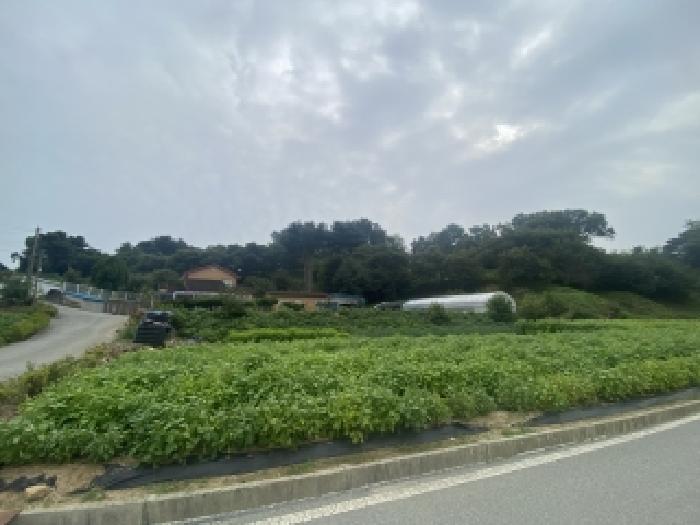 당진시 면천면 원동리 전 경매 물건 사진