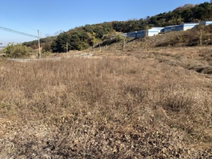 당진시 송악읍 월곡리 답 경매 물건 사진