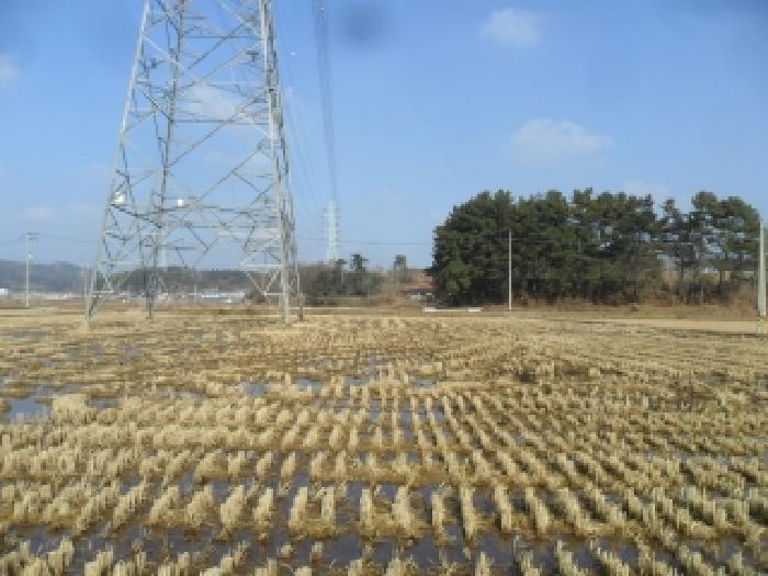 태안군 태안읍 장산리 전답 경매 물건 사진