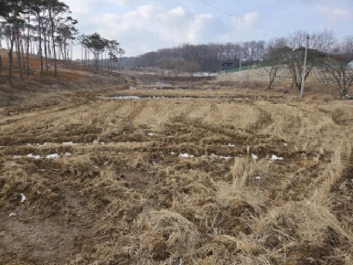 당진시 송악읍 본당리 전답 경매 물건 사진