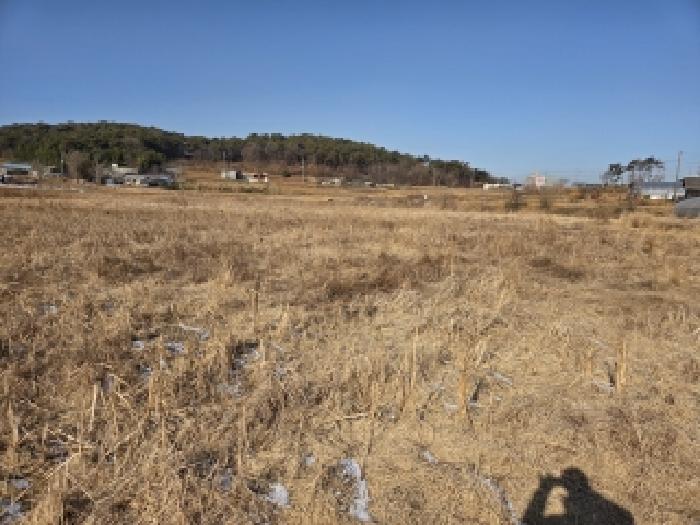 당진시 송악읍 부곡리 전답 경매 물건 사진