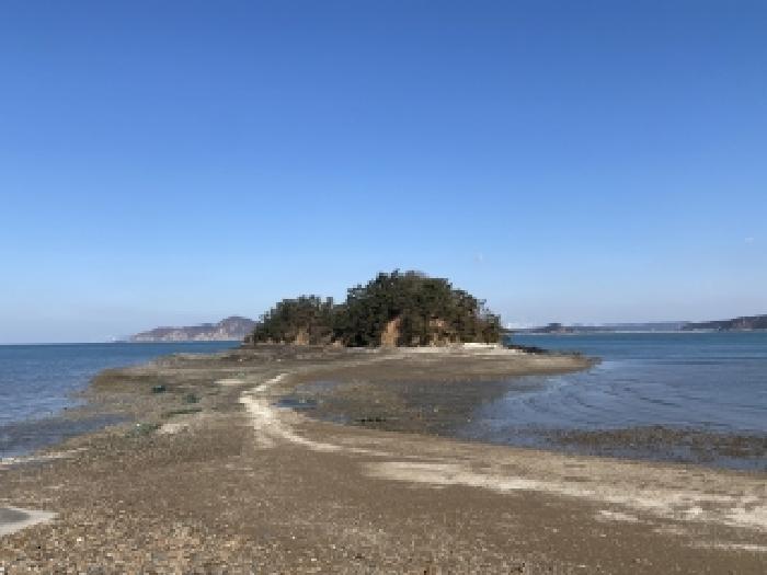 태안군 이원면 내리 임야 경매 물건 사진