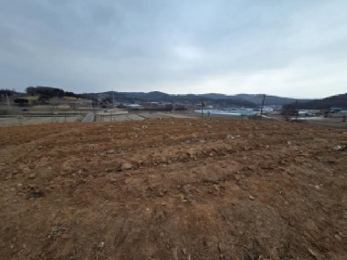 당진시 합덕읍 도곡리 대지,임야,전답 경매 물건 사진