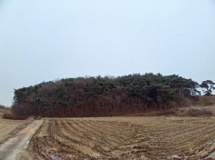 당진시 석문면 통정리 임야 경매 물건 사진