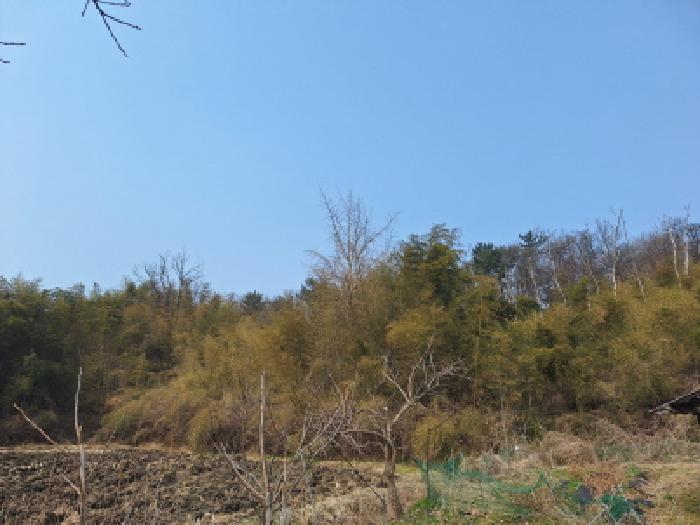 서산시 성연면 명천리 임야 경매 물건 사진