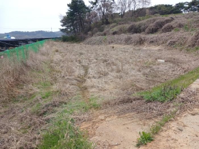 당진시 고대면 장항리 전답 경매 물건 사진