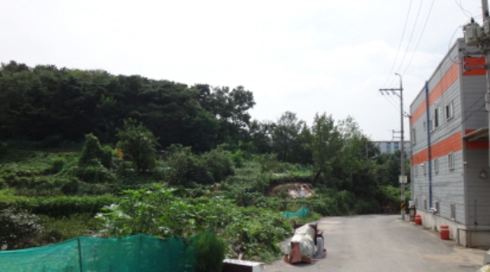 북구 복현동 산12 답 경매 물건 사진