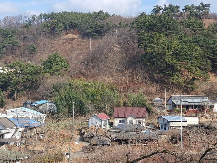 청도군 청도읍 송읍리 전 경매 물건 사진