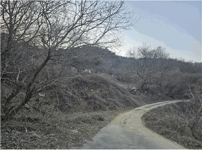 칠곡군 가산면 다부리 답 경매 물건 사진