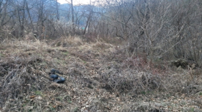 경산시 남천면 흥산리 전답 경매 물건 사진