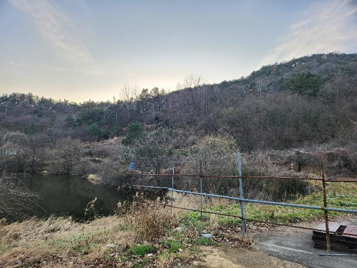 영천시 금호읍 구암리 임야 경매 물건 사진