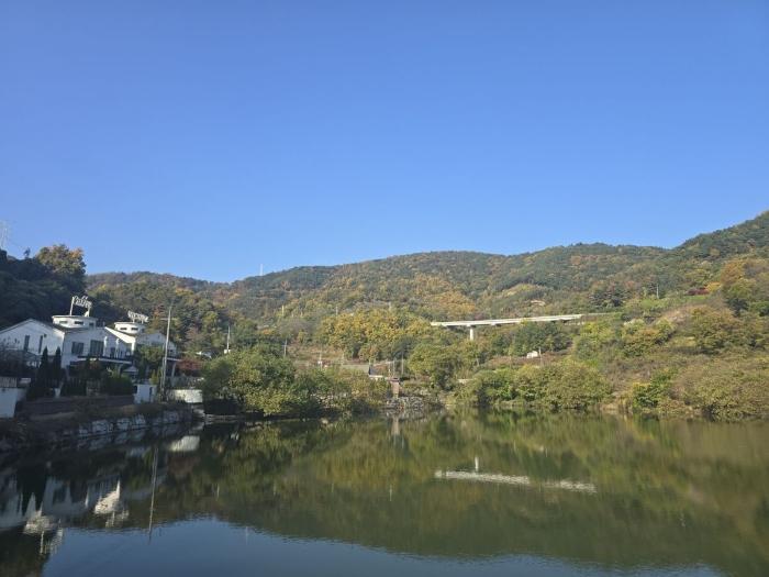 청도군 이서면 팔조리 임야 경매 물건 사진