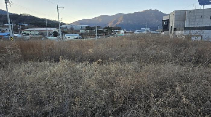 칠곡군 북삼읍 어로리 전답 경매 물건 사진