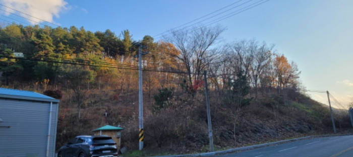 청도군 풍각면 성곡리 임야 경매 물건 사진