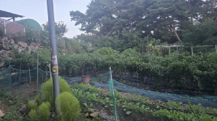 칠곡군 동명면 득명리 임야 경매 물건 사진