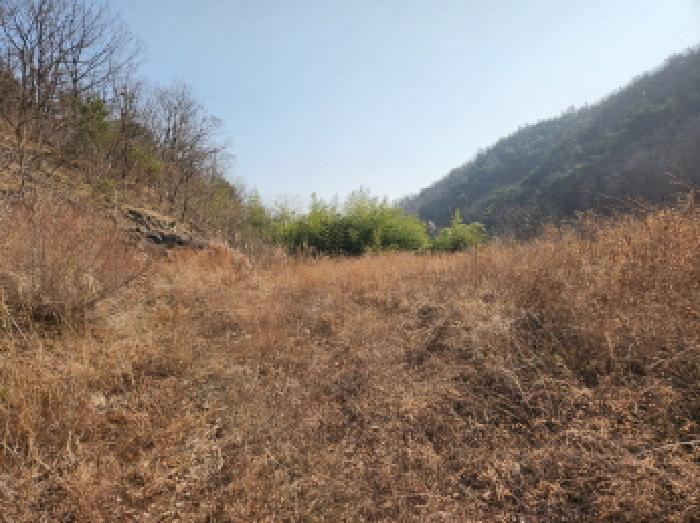 영천시 화남면 월곡리 대지,임야,전답 경매 물건 사진