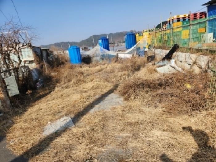영천시 대전동 966 전답 경매 물건 사진