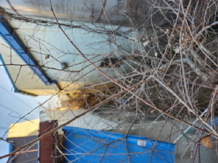 영천시 고경면 상리리 공장/지식산업센터 경매 물건 사진