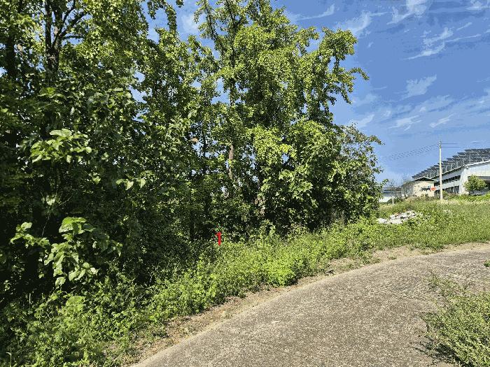 경산시 진량읍 평사리(平沙里) 전 경매 물건 사진